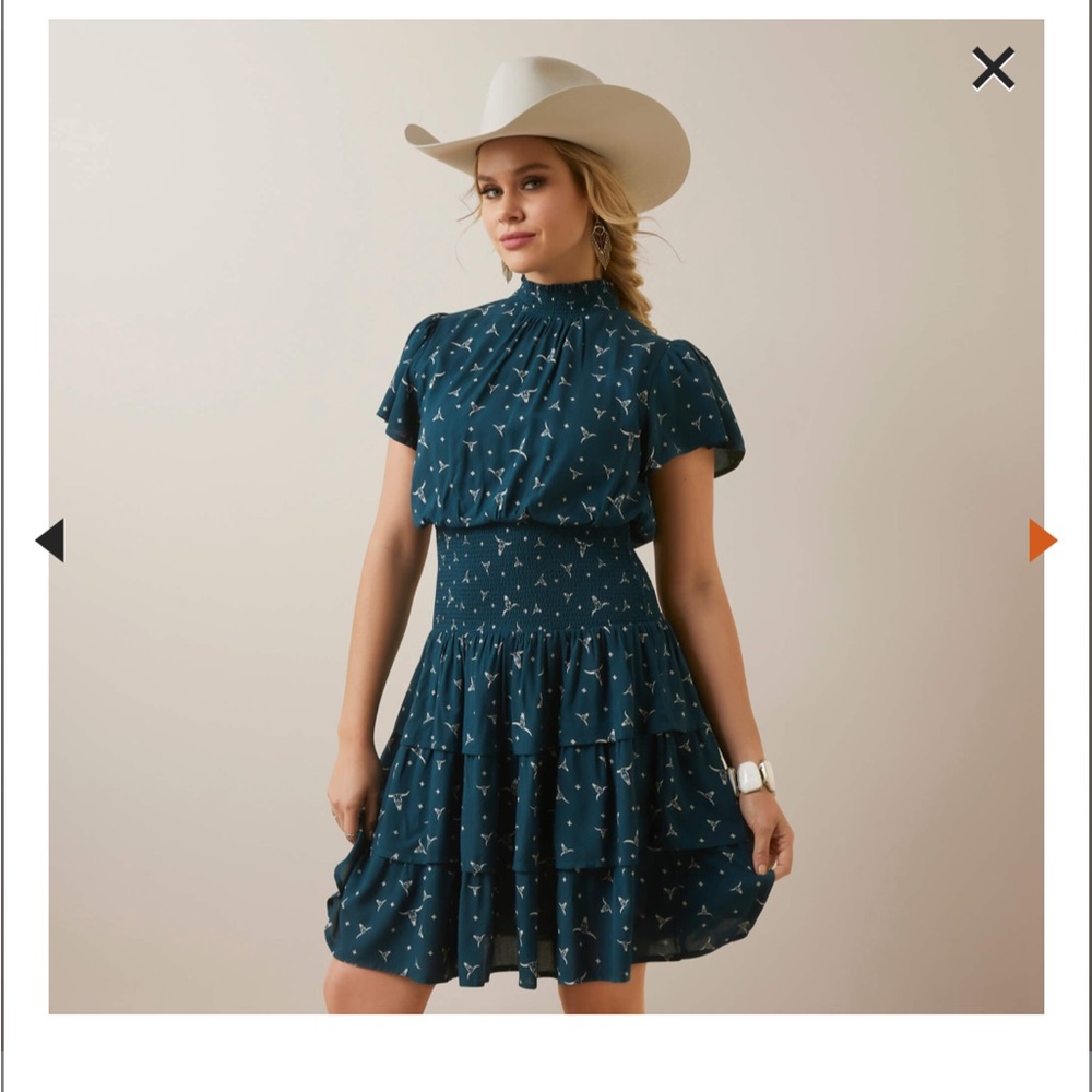 Ariet dress brand new